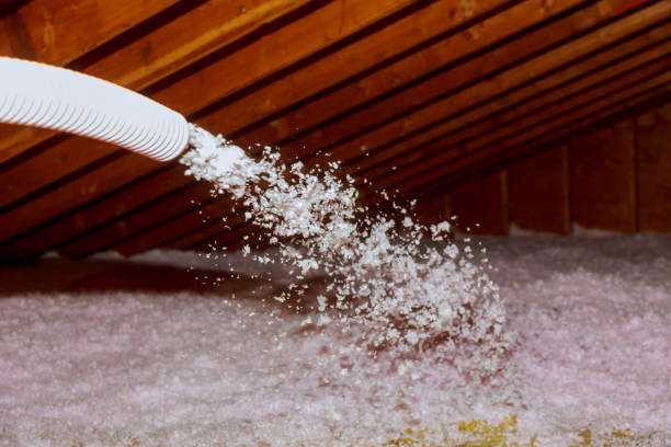 Best Spray Foam Insulation  in Bloomfield, IN