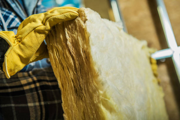 Best Garage Insulation Installation  in Bloomfield, IN